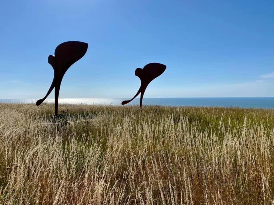 Plage A 50M Appartement Reves De Mer Villa Les Bains De Mers Eksteriør billede