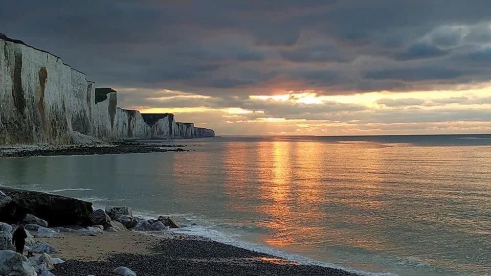 Plage A 50M Appartement Reves De Mer Villa Les Bains De Mers Eksteriør billede