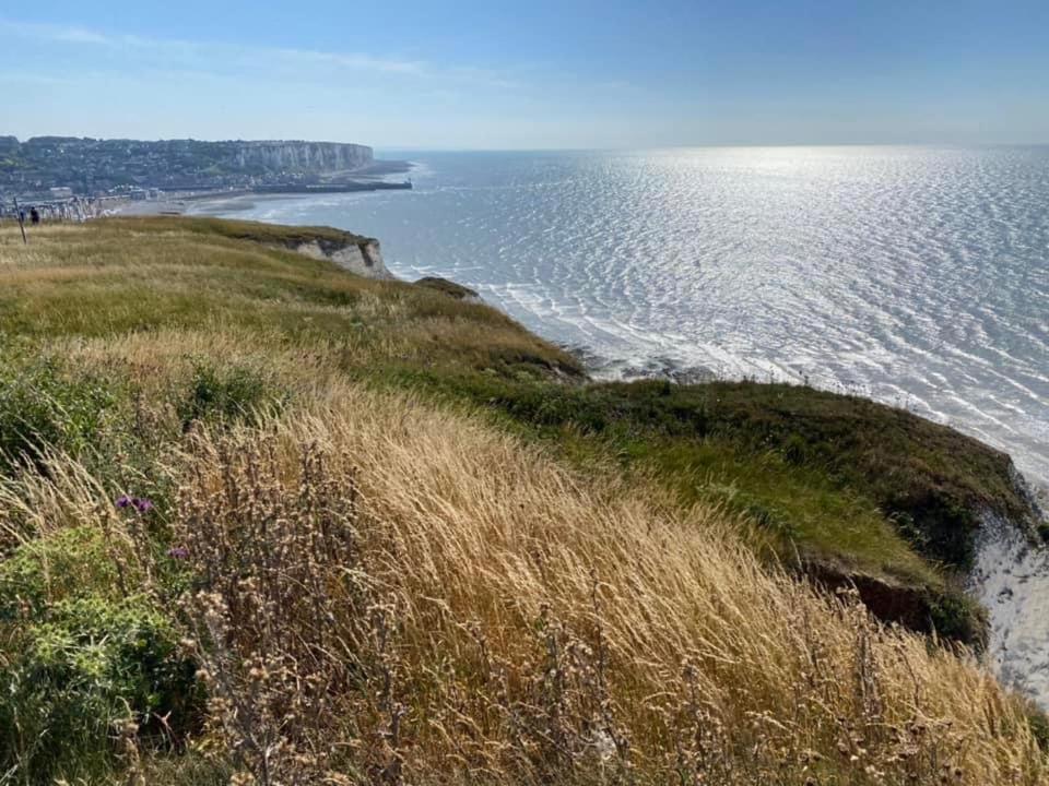 Plage A 50M Appartement Reves De Mer Villa Les Bains De Mers Eksteriør billede