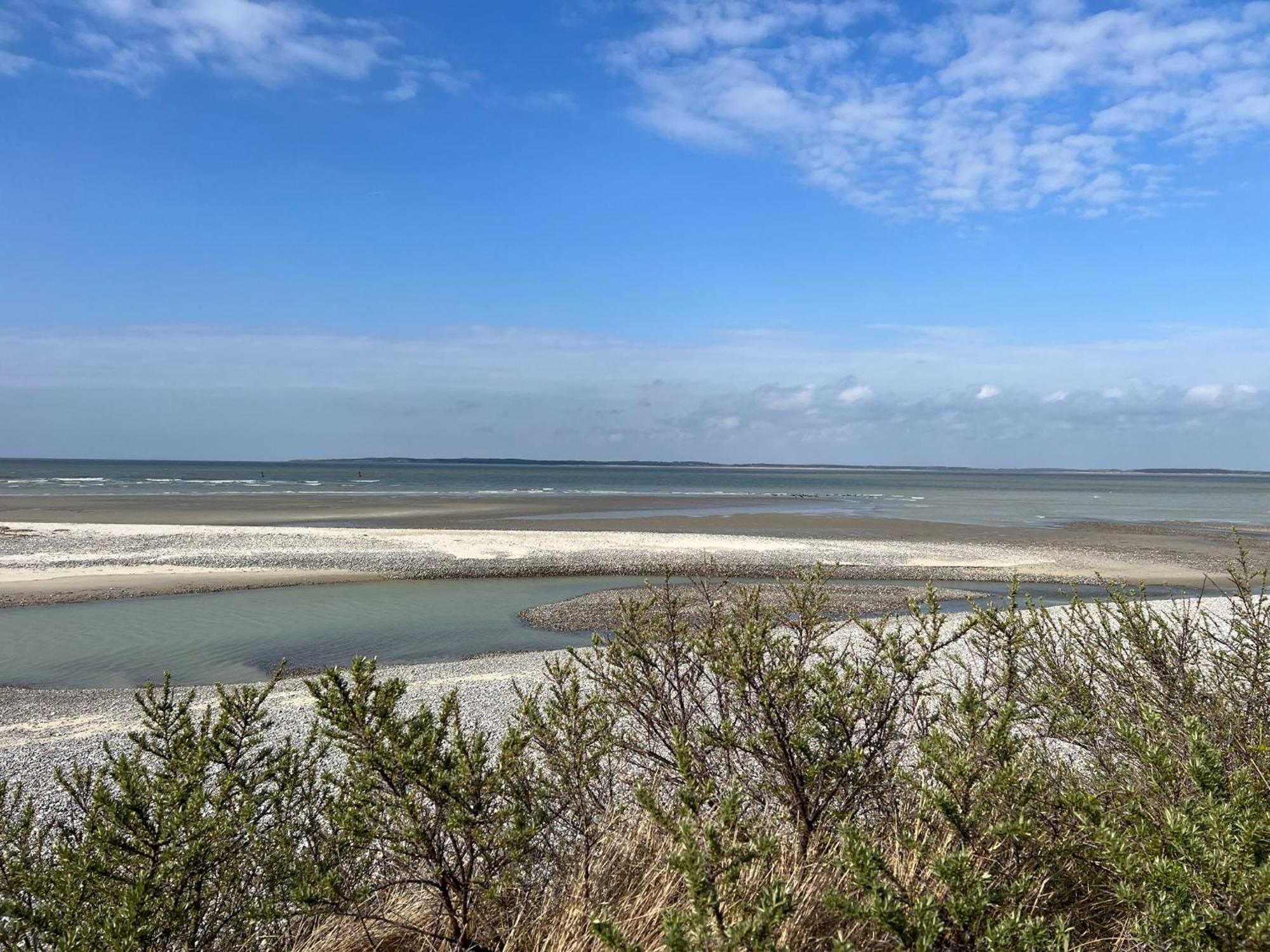Plage A 50M Appartement Reves De Mer Villa Les Bains De Mers Eksteriør billede